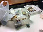 TALLER DE LAPIDACIÓN DE 
	MINERALES