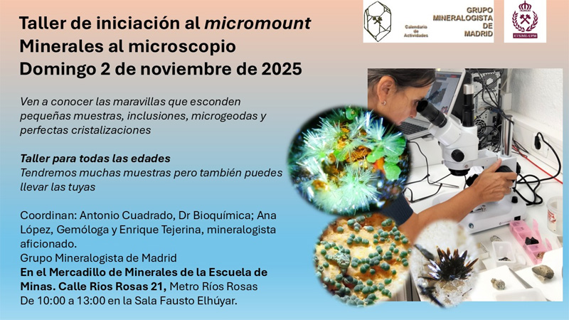 Iniciacion Micromount