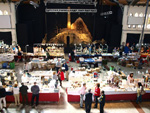 FEM. XVII Feria de Minerales y Fósiles. La Unión