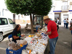 FEM. XIX Mesa de Minerales de Monteluz