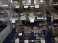 V Feria de Minerales de Oliva. Stand de Francisco Javier Quiles