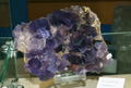 VII Feria de Minerales de Oliva.  