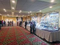 GMA. INTERMINERAL ZARAGOZA 2021. 25 Feria de Minerales, Fósiles y Gemas