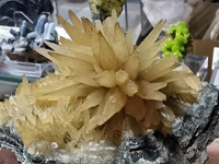GMA. INTERMINERAL ZARAGOZA 2021. 25 Feria de Minerales, Fósiles y Gemas