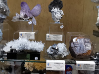 GMA. INTERMINERAL ZARAGOZA 2021. 25 Feria de Minerales, Fósiles y Gemas