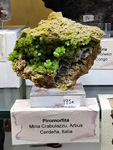 GMA. INTERMINERAL ZARAGOZA 2021. 25 Feria de Minerales, Fósiles y Gemas
