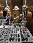 GMA. INTERMINERAL ZARAGOZA 2021. 25 Feria de Minerales, Fósiles y Gemas