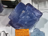 GMA. INTERMINERAL ZARAGOZA 2021. 25 Feria de Minerales, Fósiles y Gemas