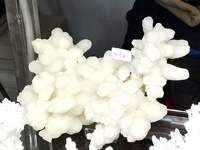 GMA. INTERMINERAL ZARAGOZA 2021. 25 Feria de Minerales, Fósiles y Gemas