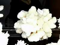 GMA. INTERMINERAL ZARAGOZA 2021. 25 Feria de Minerales, Fósiles y Gemas