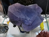 GMA. INTERMINERAL ZARAGOZA 2021. 25 Feria de Minerales, Fósiles y Gemas