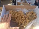 5ª Feria de Minerales de Cartama 