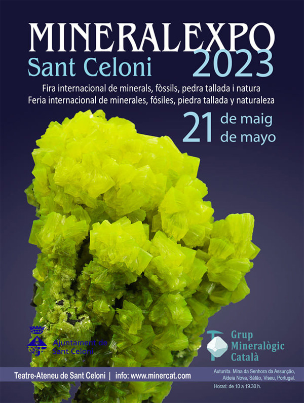 7ª Feria de Minerales dr Salamanca