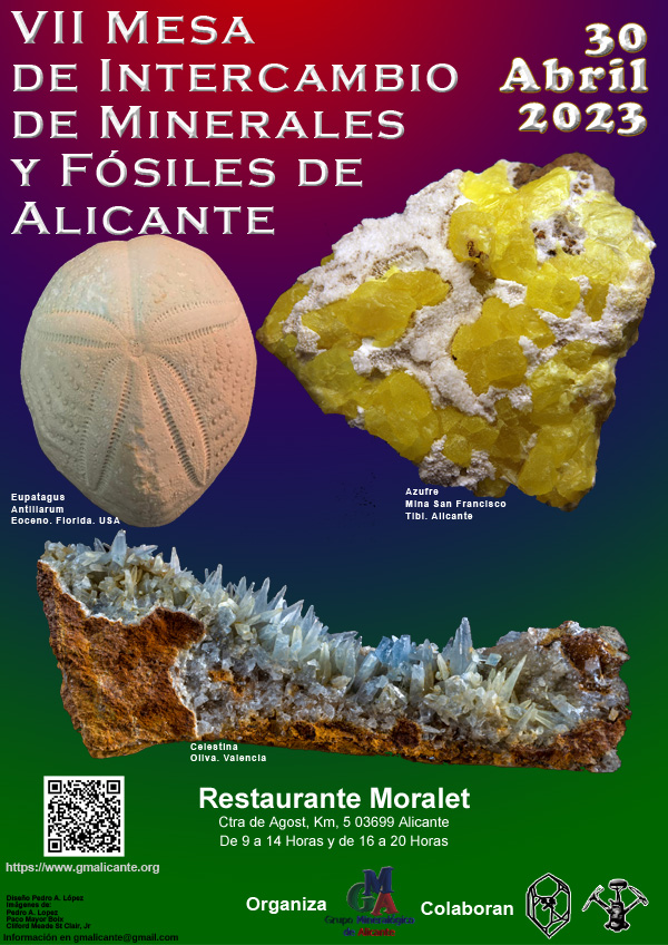VII Mesa de Intercambio de Minerales y Fósiles de Alicante.
