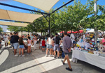 III Feria de Minerales Bella Jarifa