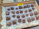 III Feria de Minerales Bella Jarifa