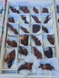 III Feria de Minerales Bella Jarifa