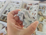 III Feria de Minerales Bella Jarifa
