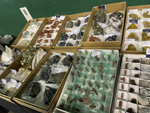XIII  Feria de Minerales de Colmenar Viejo