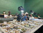 XIII  Feria de Minerales de Colmenar Viejo