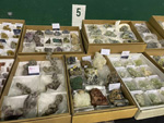 XIII  Feria de Minerales de Colmenar Viejo