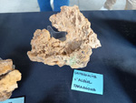 MINERGUALBA 2025. Fira de Minerals del Montseny