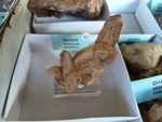 MINERGUALBA 2025. Fira de Minerals del Montseny