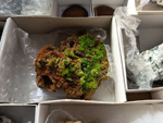 MINERGUALBA 2025. Fira de Minerals del Montseny