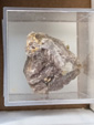 MINERGUALBA 2025. Fira de Minerals del Montseny