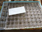 MINERGUALBA 2025. Fira de Minerals del Montseny