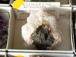 MINERGUALBA 2025. Fira de Minerals del Montseny