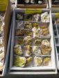 MINERGUALBA 2025. Fira de Minerals del Montseny