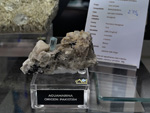 MINERVAL 2025. Feria de Minerales de Valencia