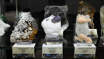 MINERVAL 2025. Feria de Minerales de Valencia