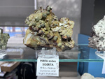 MINERVAL 2025. Feria de Minerales de Valencia