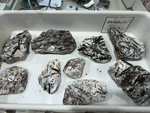 MINERVAL 2025. Feria de Minerales de Valencia