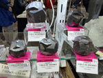 MINERVAL 2025. Feria de Minerales de Valencia