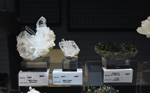 MINERVAL 2025. Feria de Minerales de Valencia