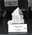 MINERVAL 2025. Feria de Minerales de Valencia