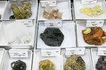 MINERVAL 2025. Feria de Minerales de Valencia