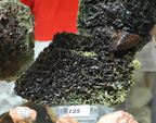 MINERVAL 2025. Feria de Minerales de Valencia