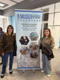 MINERVAL 2025. Feria de Minerales de Valencia