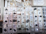 MINERVAL 2025. Feria de Minerales de Valencia