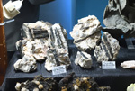 MINERVAL 2025. Feria de Minerales de Valencia