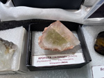 MINERVAL 2025. Feria de Minerales de Valencia