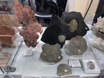 MINERVAL 2025. Feria de Minerales de Valencia