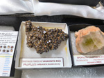 MINERVAL 2025. Feria de Minerales de Valencia