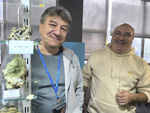 MINERVAL 2025. Feria de Minerales de Valencia