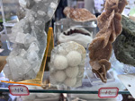 MINERVAL 2025. Feria de Minerales de Valencia