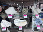 MINERVAL 2025. Feria de Minerales de Valencia
